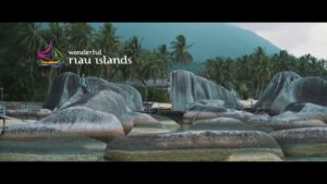 Read more about the article NATUNA DIVE RESORT